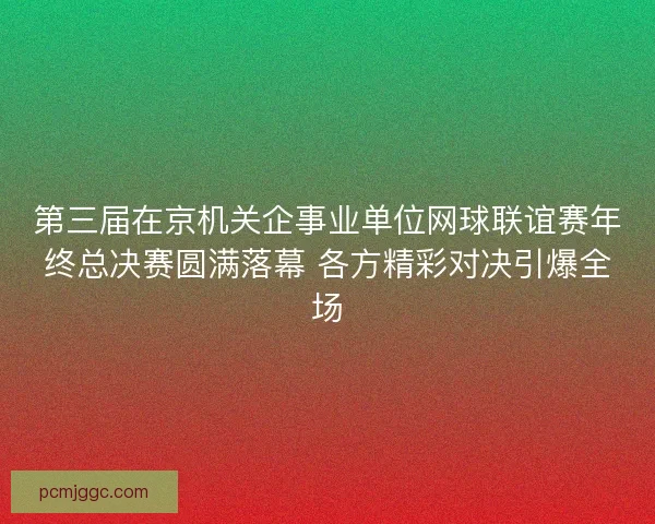第三届在京机关企事业单位网球联谊赛年终总决赛圆满落幕 各方精彩对决引爆全场